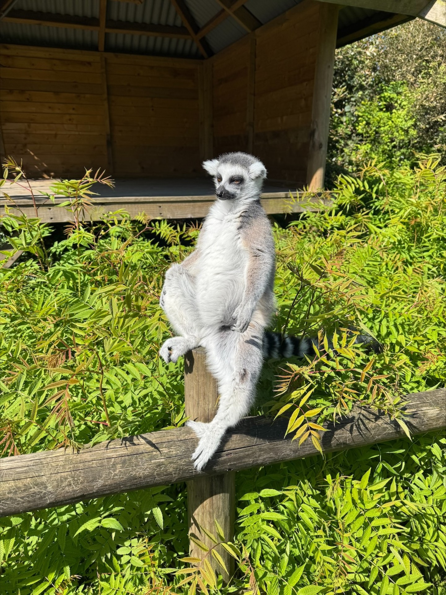 processed-D0C2DBE1-21B7-477E-B5BE-8286B6C0AAC0