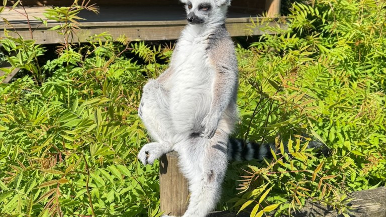 processed-D0C2DBE1-21B7-477E-B5BE-8286B6C0AAC0